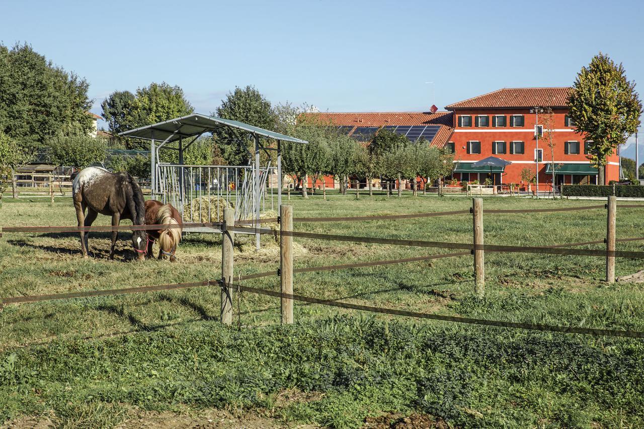 Ca' Ciaran Bed & Breakfast Chiarano Bagian luar foto