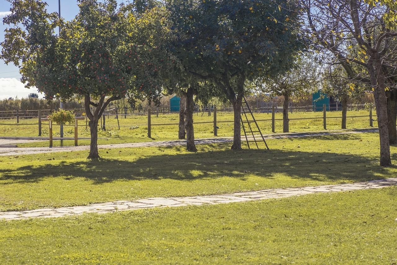 Ca' Ciaran Bed & Breakfast Chiarano Bagian luar foto