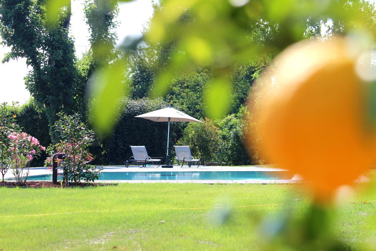 Ca' Ciaran Bed & Breakfast Chiarano Bagian luar foto