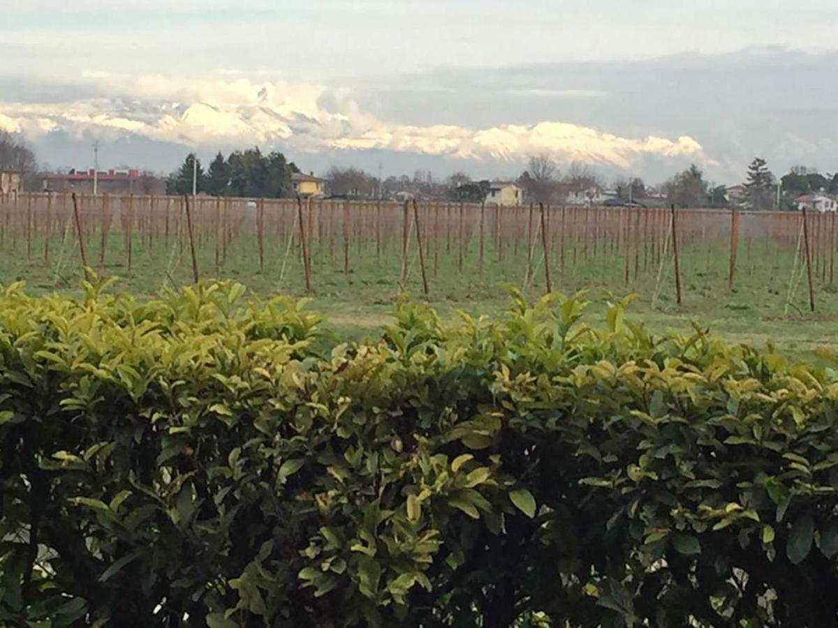 Ca' Ciaran Bed & Breakfast Chiarano Bagian luar foto